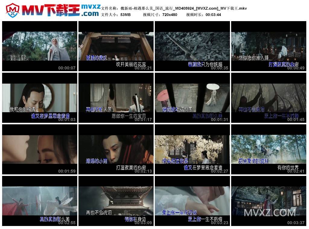 魏新雨-相遇那么美_国语_流行_MD405924